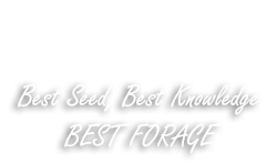 Best Forage & Cover Crops: Best Seed, Best Knowledge, BEST FORAGE