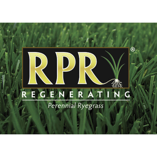 Turf Star RPR Best Forage